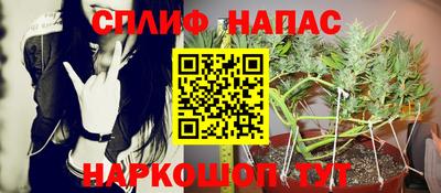 гашик Бугуруслан
